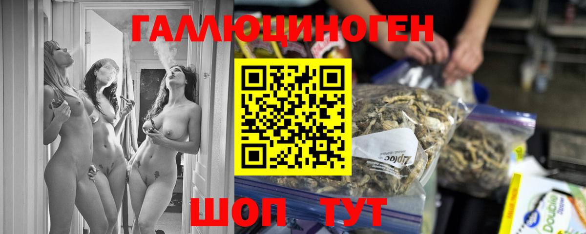 дарнет шоп  Галлюциногенные грибы прущие грибы  Вход с VPN  Улан-Удэ 